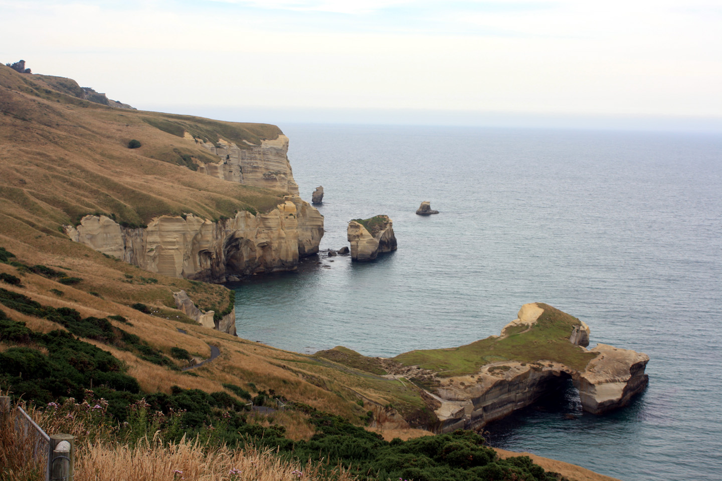 The Coastal Paleontologist, atlantic edition A visit to Tunnel Beach