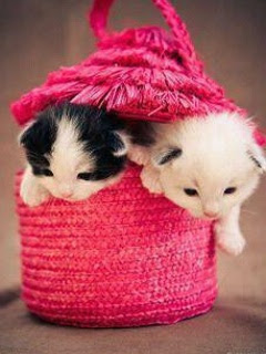 Wallpaper For Mobile Romantic