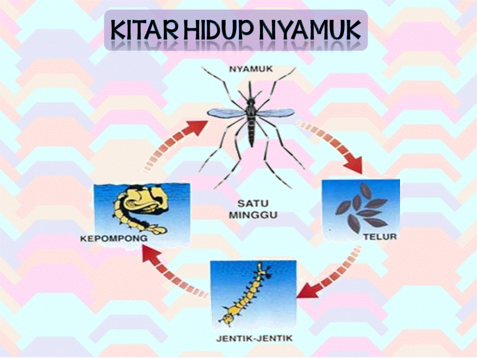 Dunia Sains dan Teknologi (Belajar dengan Ceria) DST Tahun 2 Kitar