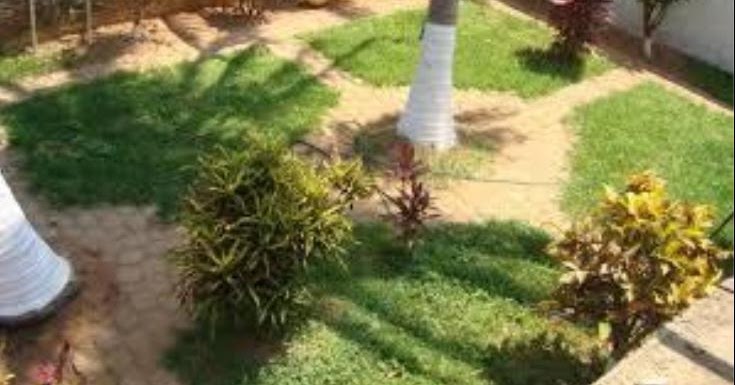 Fotos de Jardin: jardin de casa habitación