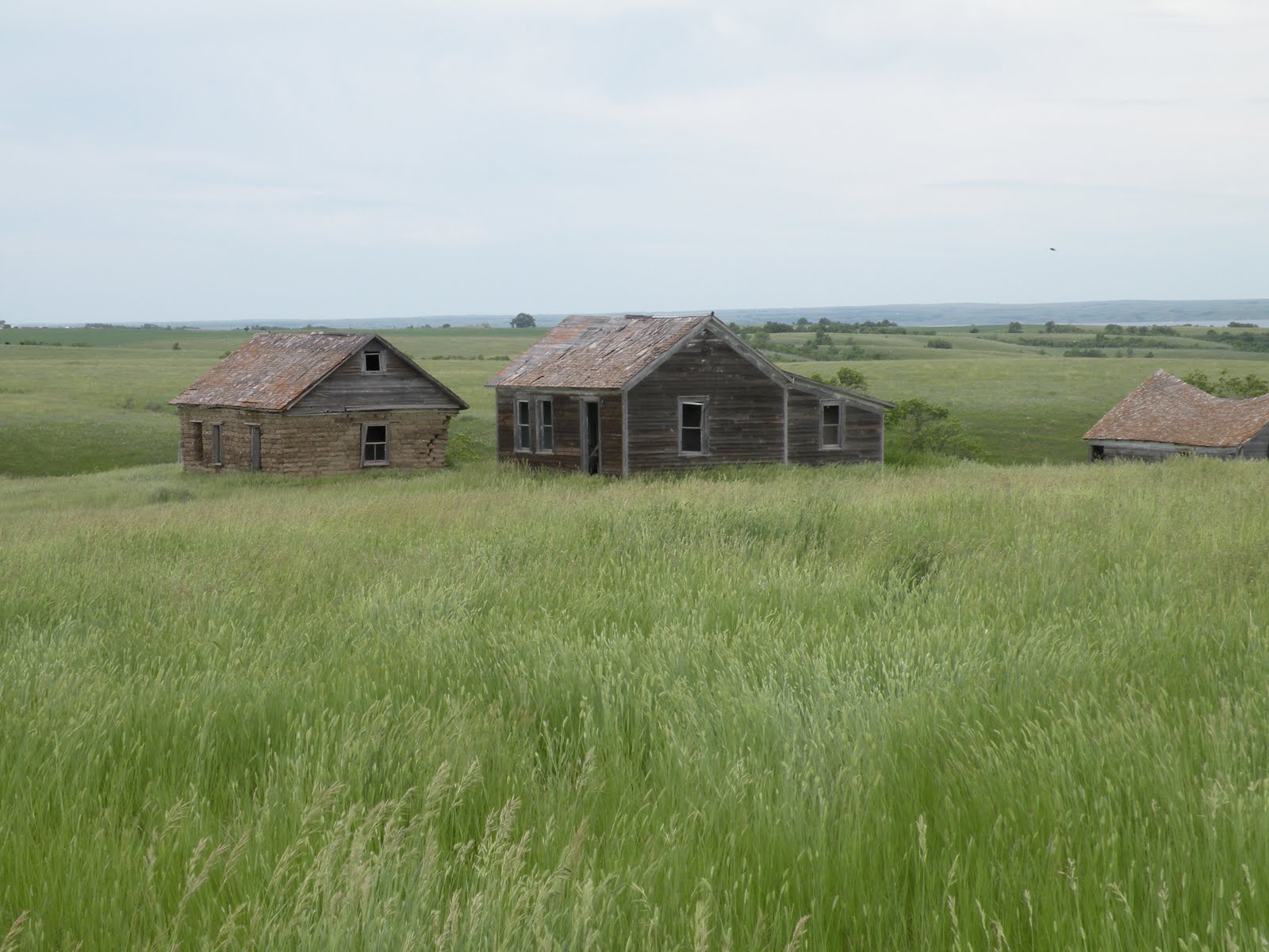 50 Authors from 50 States Small State of People Large of Land and