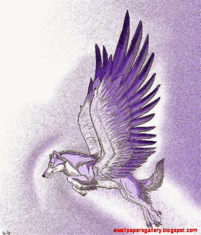 purplewingedwolfbypookyns purplewingedwolfbypookyns