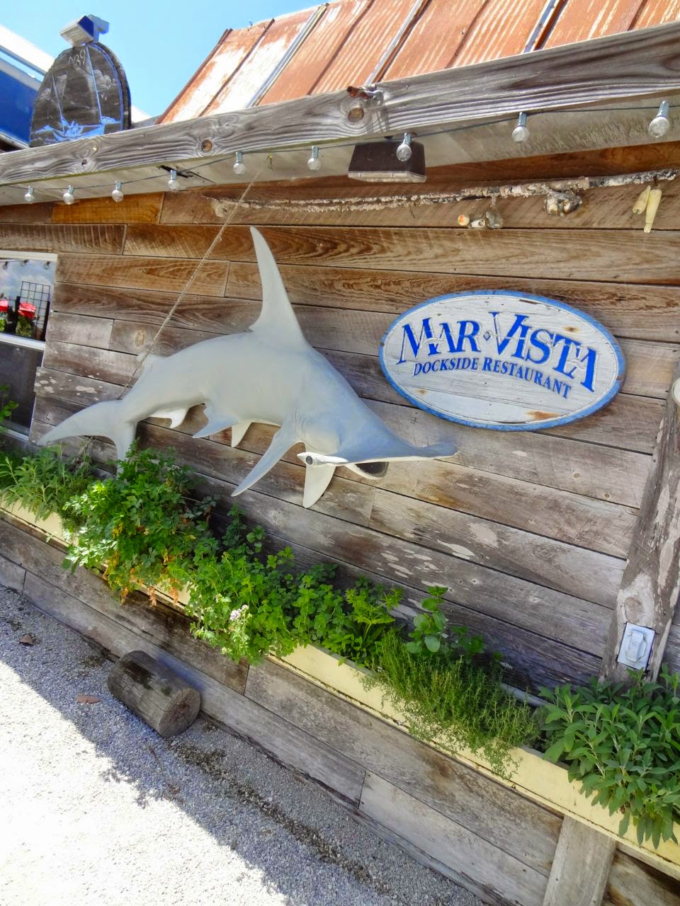 Scrumpdillyicious The Mar Vista Dockside Dining on Longboat Key