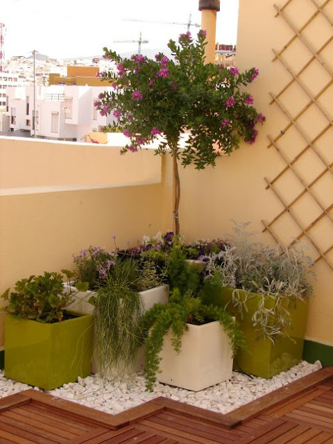 plantas terraza deco - Ideas de decoración: Cómo decorar una terraza