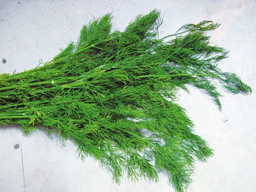 [Image: thi%2Bla.jpg]