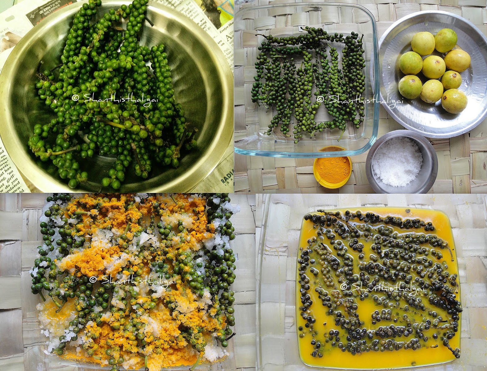 Shanthi Krishnakumar's cook book GREEN PEPPERCORN PICKLE / PACHAI MILAGU OORUGAI