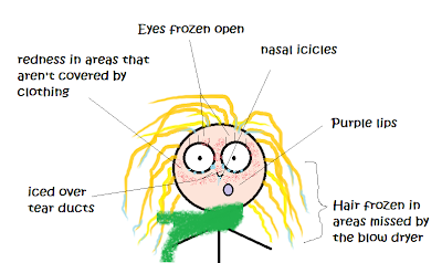 stick figure with lines pointing to different sections of the face and labelled: "Eyes frozen open" "Nasal icicles" "Purple lips" "Hair frozen in areas missed by the blow dryer" Iced over tear ducts" Redness in areas that aren't covered by clothing"