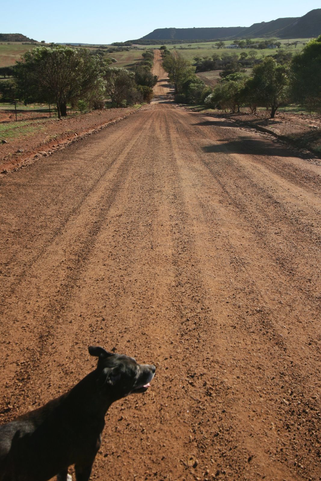 What's Next? Walking in Geraldton and surrounds