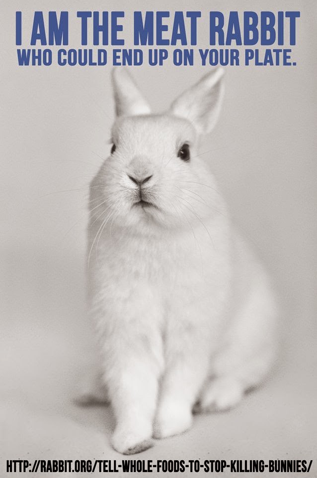 Rabbit Ramblings Whole Foods protest against selling rabbit meat is