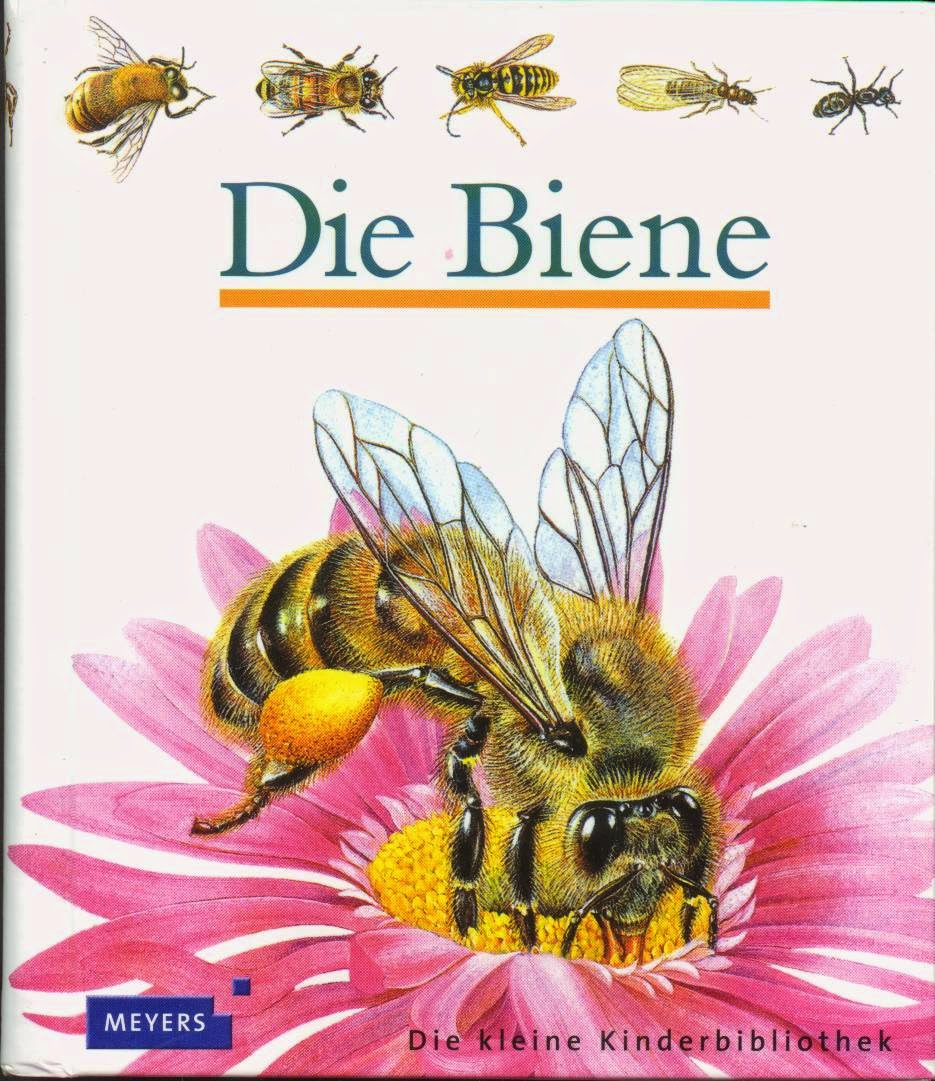 Barfuss Im Gras Mai 2015