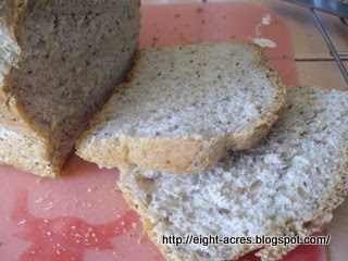 eight acres: homemade bread