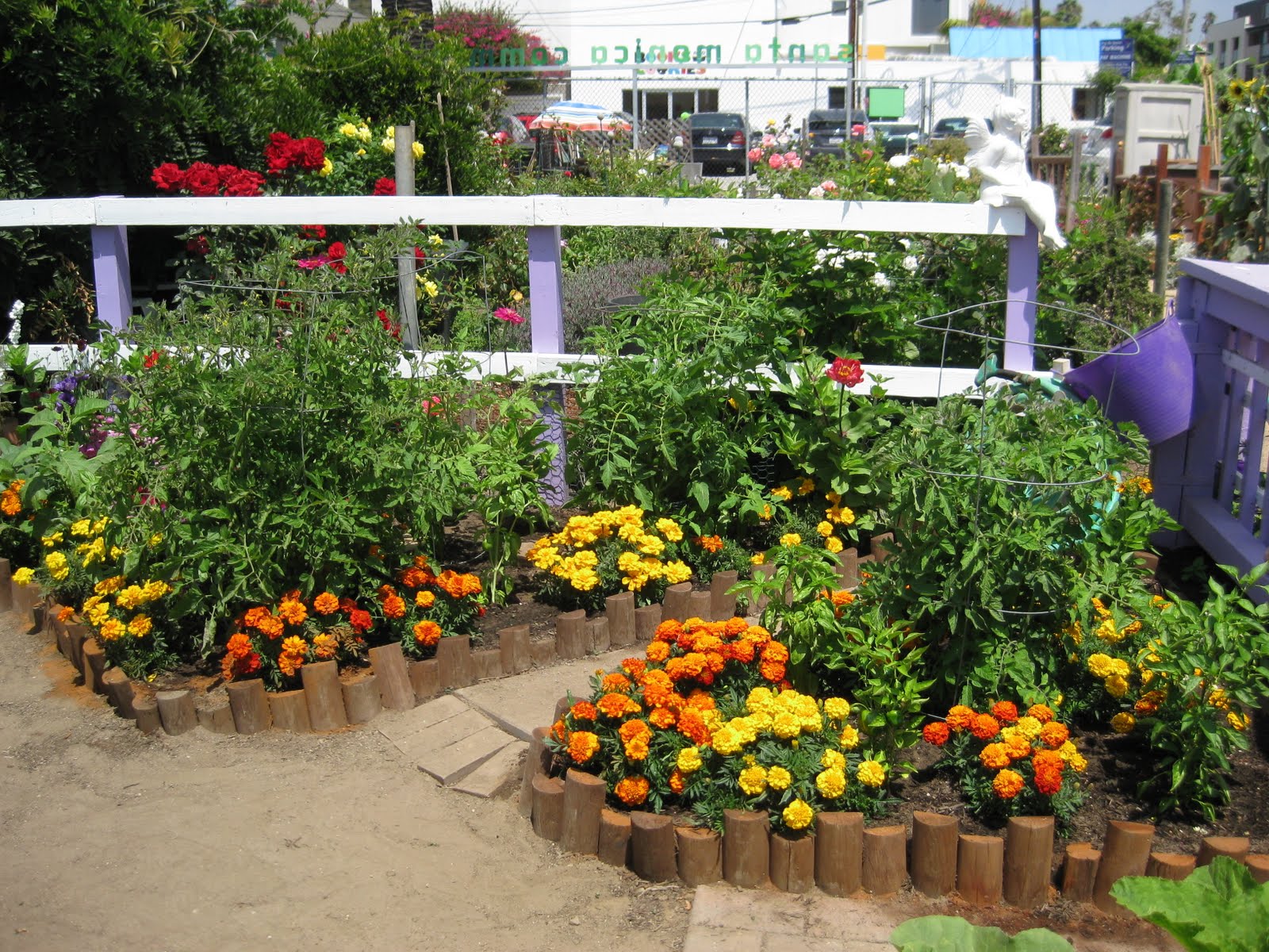 23+ Wonderful Butternut Squash Companion Plants Inspiratif Design