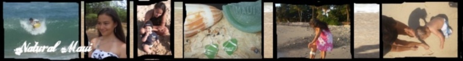Sea Glass Jewelry / Shell Jewelry/ Lava Rock Jewelry/