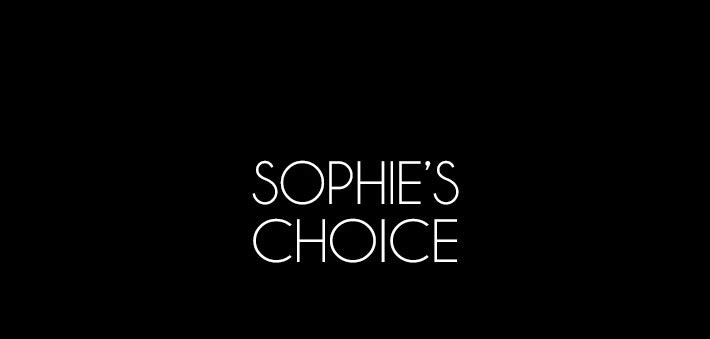sophie's choice diy