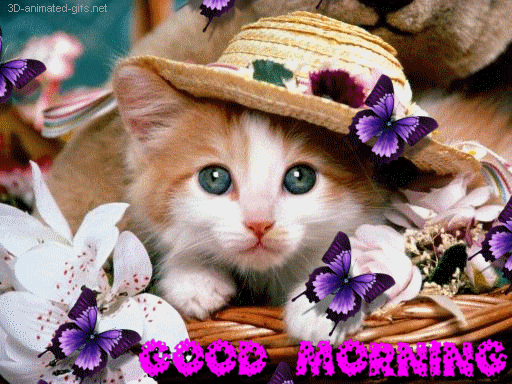 good%20morning%20%20animated%20gif%20mania%20%20butterfly%20%20flower%20Photos%20%20Messages%20Facebook%20Covers%20clipart%20Quotes%20free%20download%20wallpaper%20good%20morning%20ecards%20graphics%20images%20gifs%20facebook%20Fb%20Cover%203D%20photo.gif
