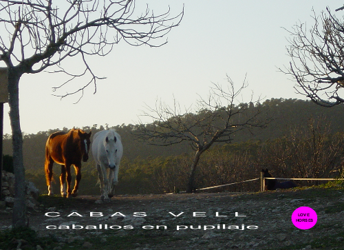 Cabas Vell Caballos & Horses