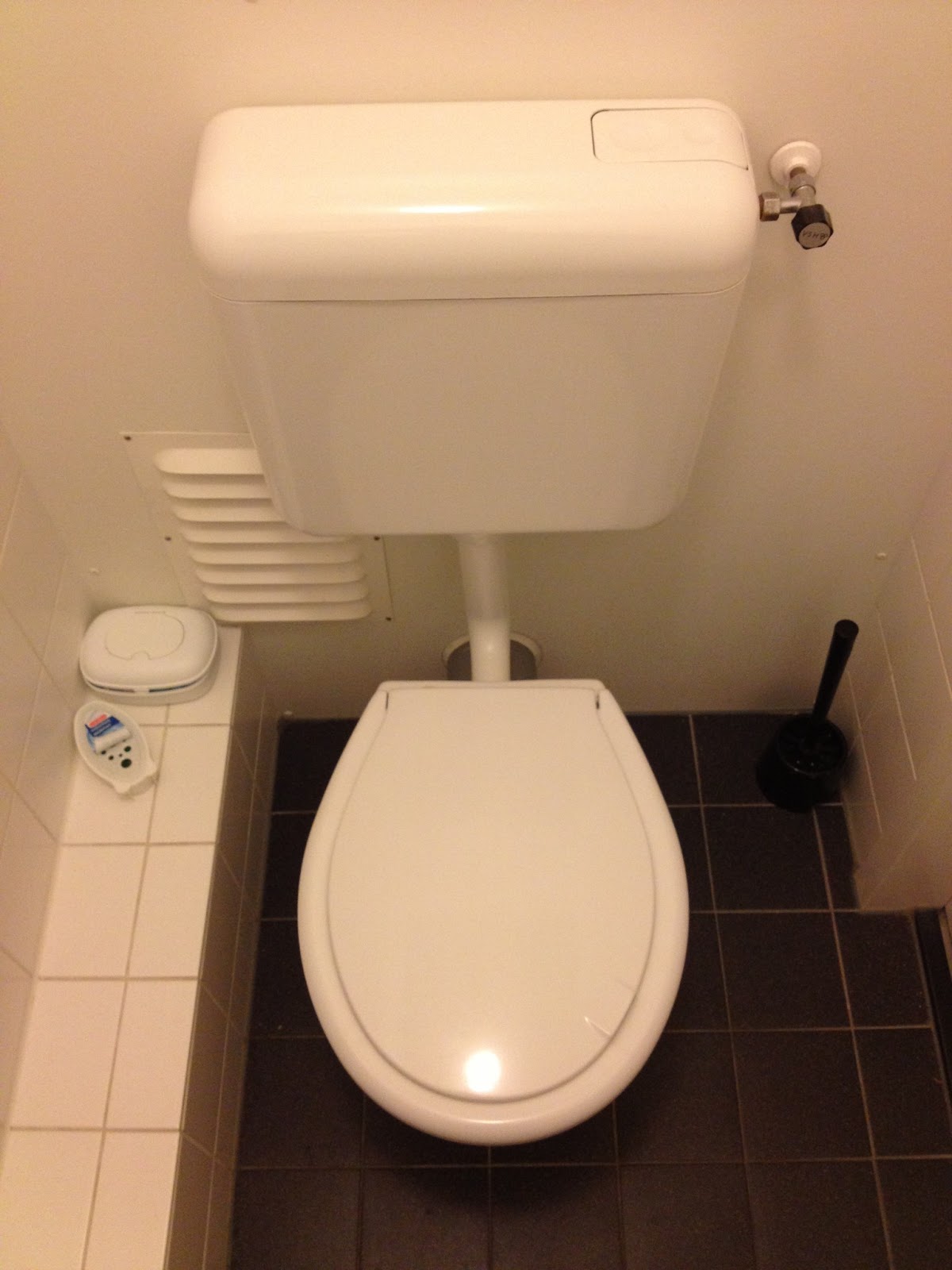 Cycling, Livability, & European Inspiration European Toilets!