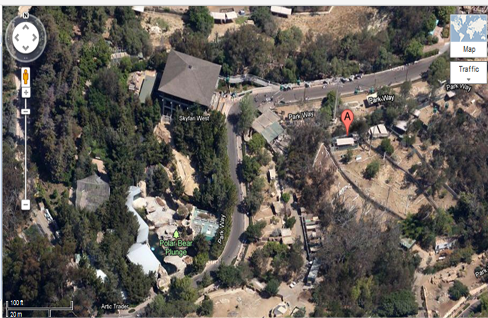 Zoo Tails: Aerial Antics: San Diego Zoo
