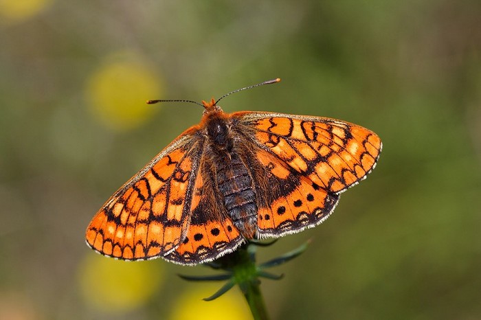 As Es La Vida - YouTube