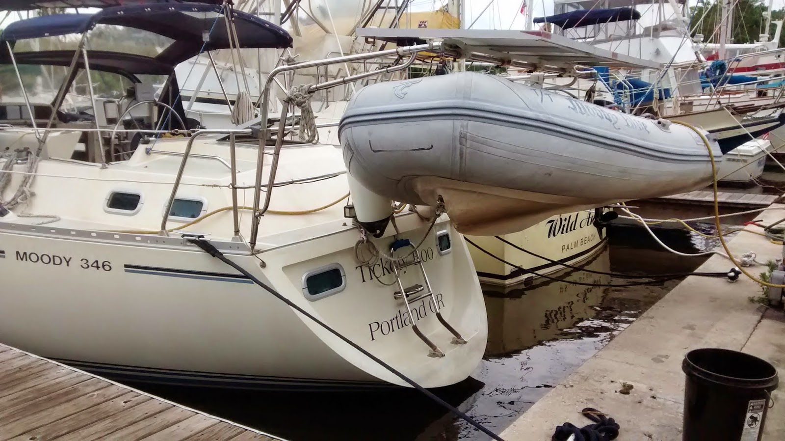 The Cynical Sailor & His Salty Sidekick Meet Tickety Boo, Our Moody