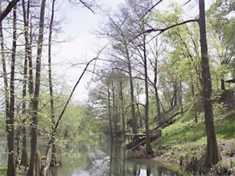 Broken Bow Lake Cabins Beavers Bend Cabin Rentals Broken Bow