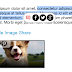 Add social share buttons on image hover,Text highlight in blogger