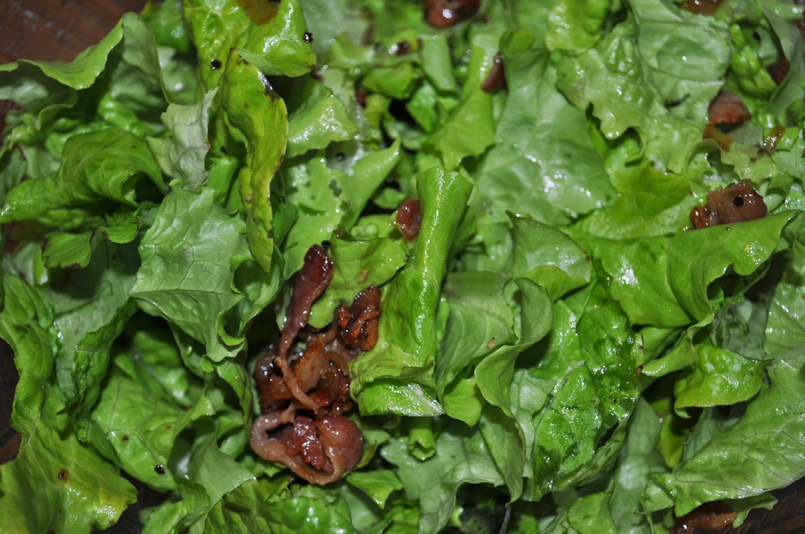 Beth's Favorite Recipes Wilted Leaf Lettuce