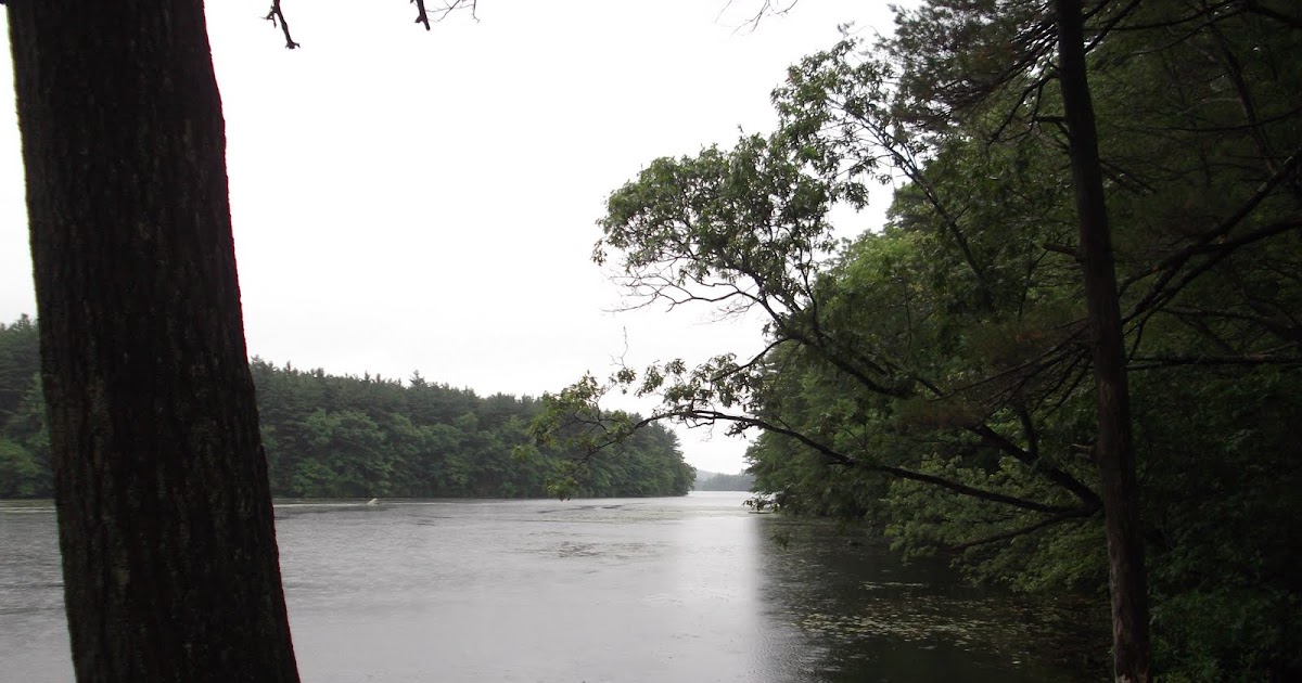 Hike Cape Cod Lake Whitehall State Park, Hopkinton MA.