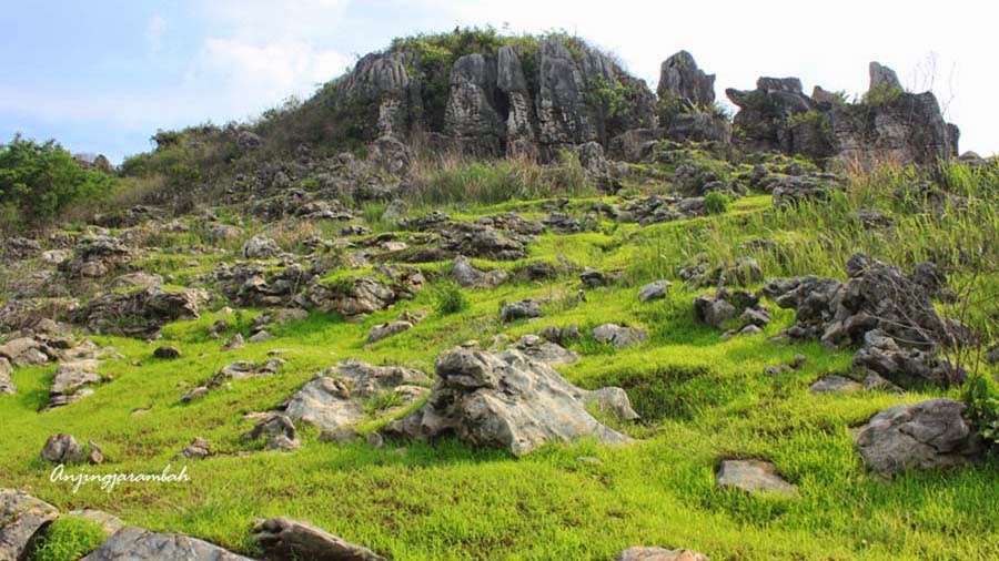 Ulukutek Leunca: Euforia Of STONE GARDEN Bandung