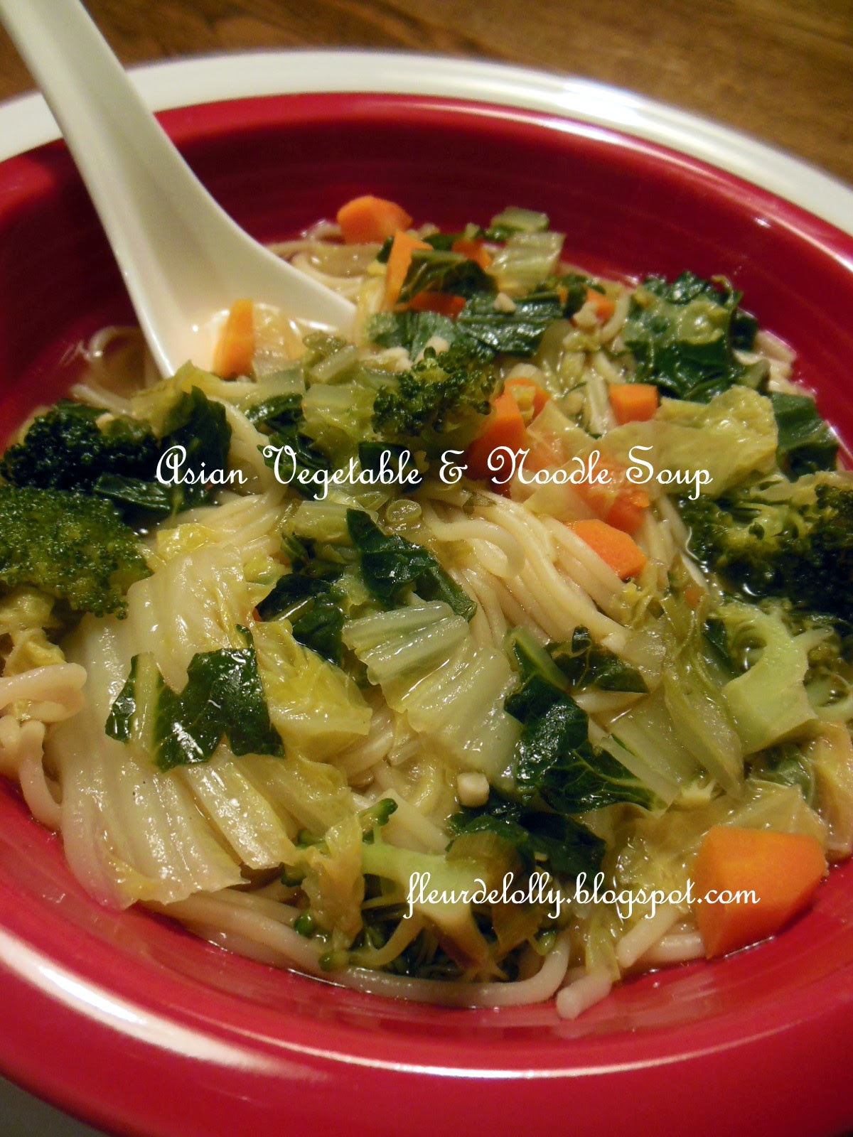Fleur de Lolly Asian Vegetable & Noodle Soup