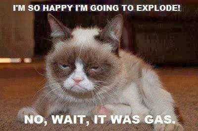 Caterville: Grumpy Cat Memes