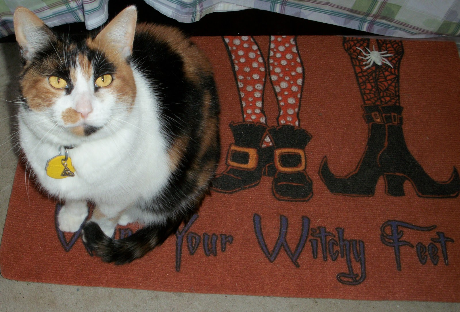 Ellen Dugan S Blog Of Witchery The Feline Familiar