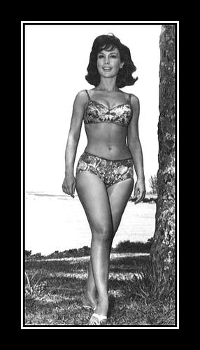Nude Pictures Of Barbara Eden