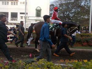 "Star Superior" winner of "Ultra Indian Derby -2019" at 8/1 odds.