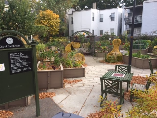 Community Garden