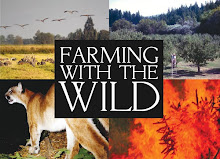 Farming With The Wild