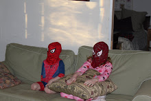 Spider Kids Craze!