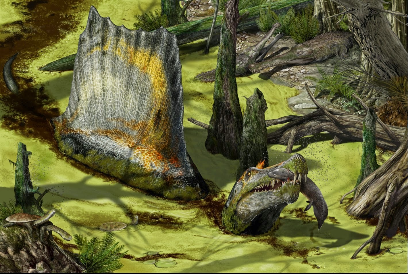 Spinosaurus_Bonadonna.tiff