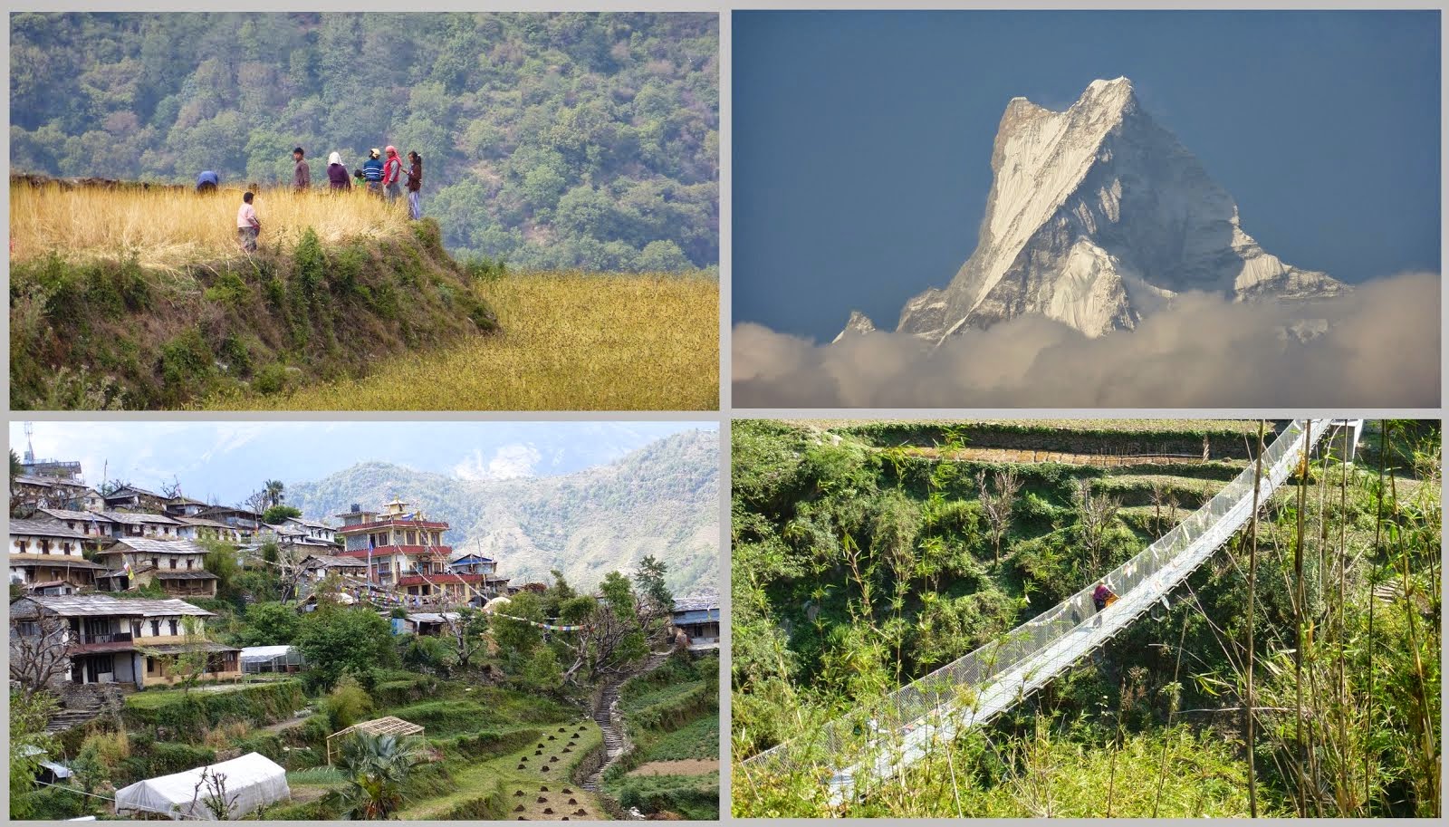 Nepal 2014-2