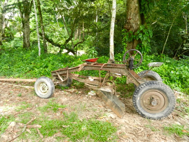 Amish In Belize