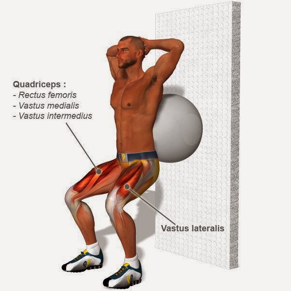 quadratus femoris activation exercises quadratus femoris activation exercises