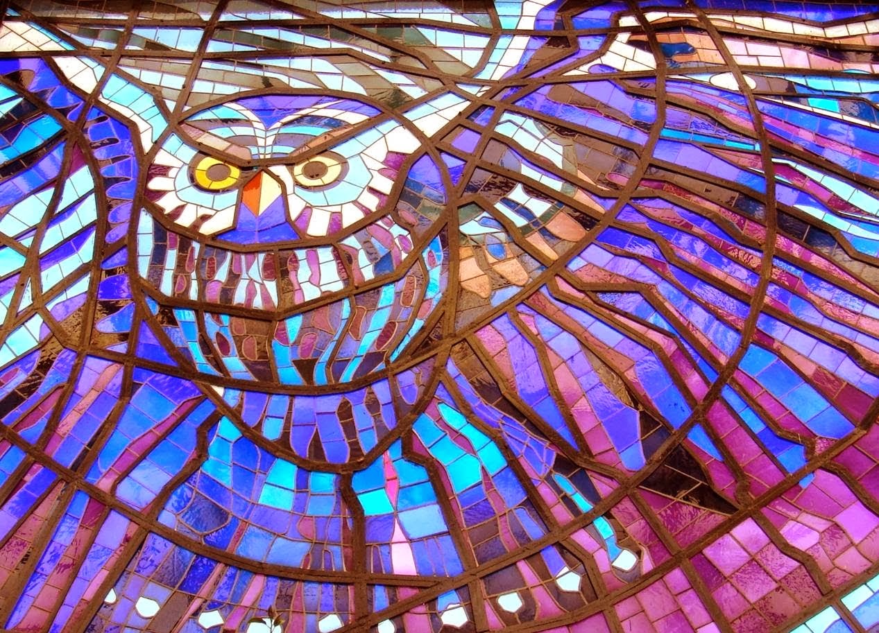 Studio Floral Dora Santoro El Cosmovitral