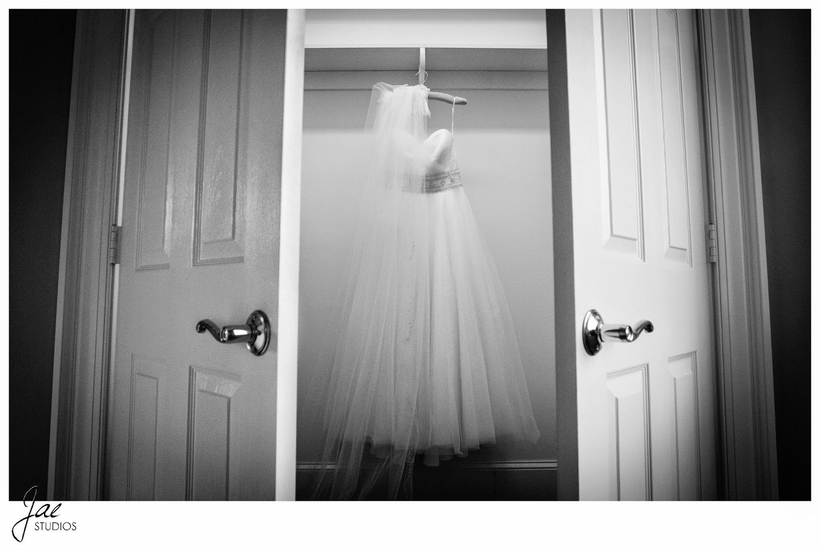 Jonathan and Julie, Bird cage, West Manor Estate, Wedding, Lynchburg, Virginia, Jae Studios, wedding dress, doors, opening, veil, black and white