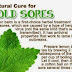 Home remedies for treating cold sores naturally