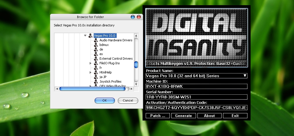 digital insanity keygen vegas pro 10  free