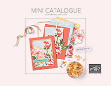 Januari-Juni 2021 Mini catalogus