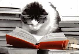 Download Pushie Fuko Agustus 2014 Desktop Wallpaper Get Wallpaper Pushie Fuko Agustus 2014 Desktop Wallpaper