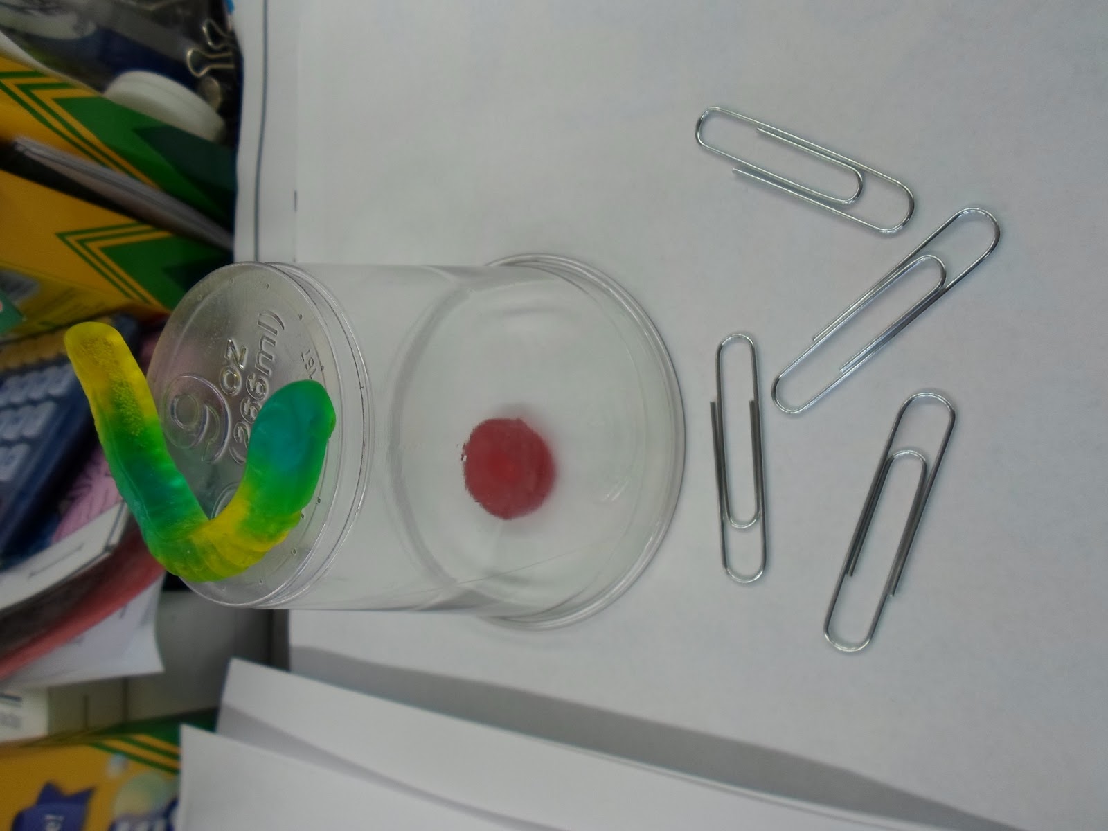 Growing a STEM Classroom: Can You Save FRED? Activity