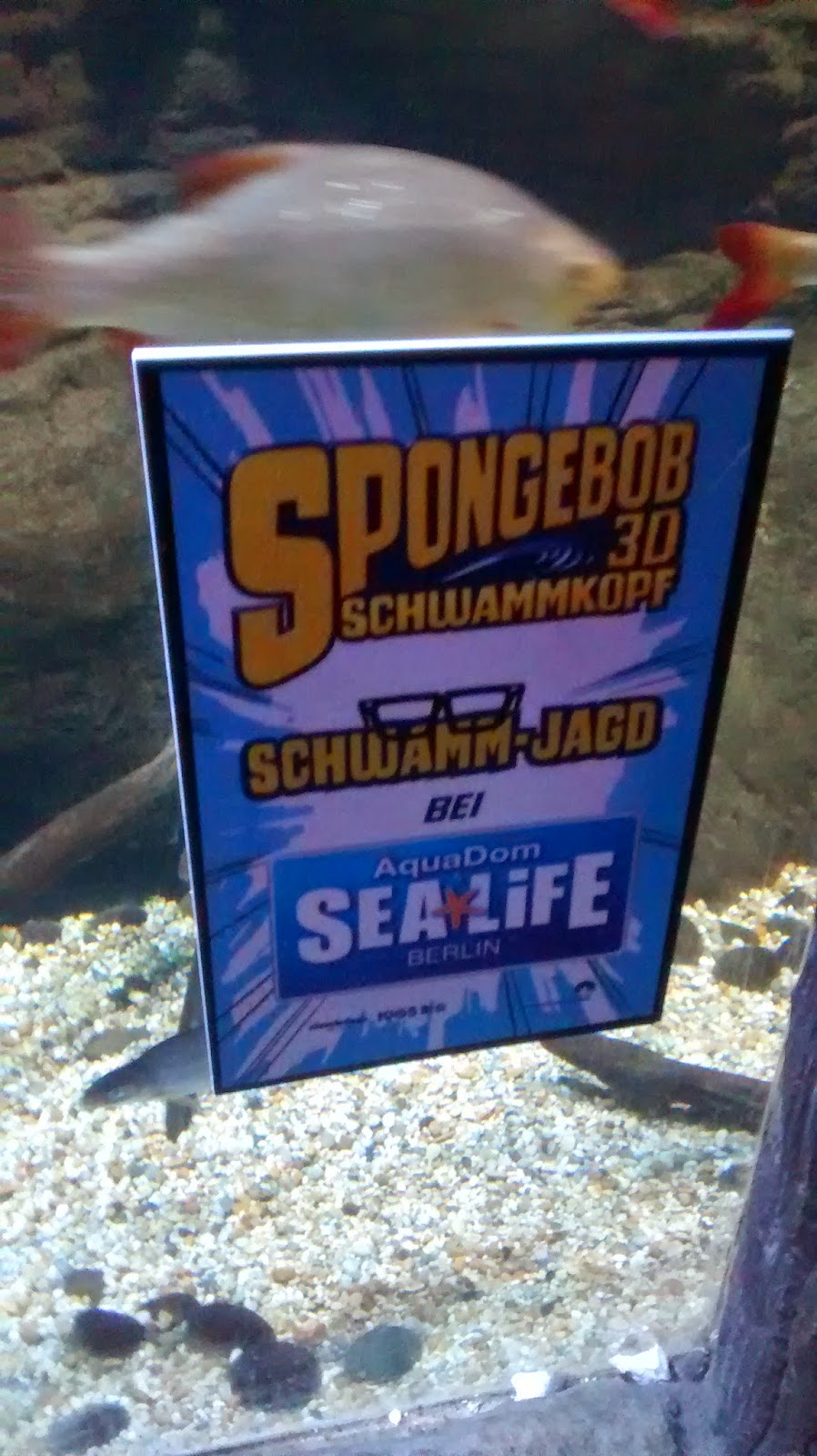Mit Kind in Berlin Erfahrungen Sea Life Runzelfuesschen Mit Kind in Berlin Erfahrungen Sea Life Runzelfuesschen
