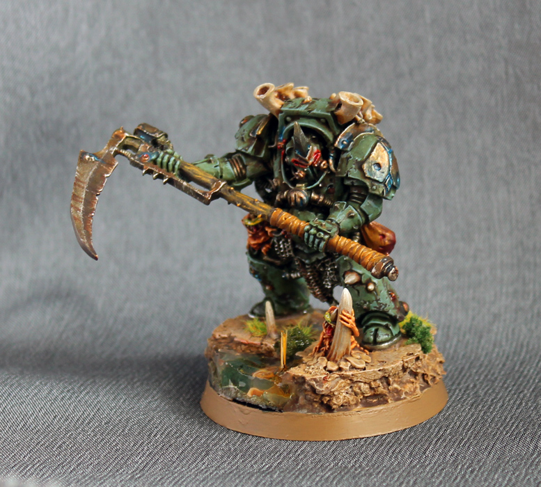 Typhus_1.JPG